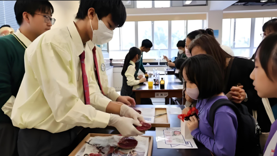 香港插班中学学制区分，中学插班香港容易吗···